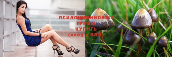 jwh Аркадак